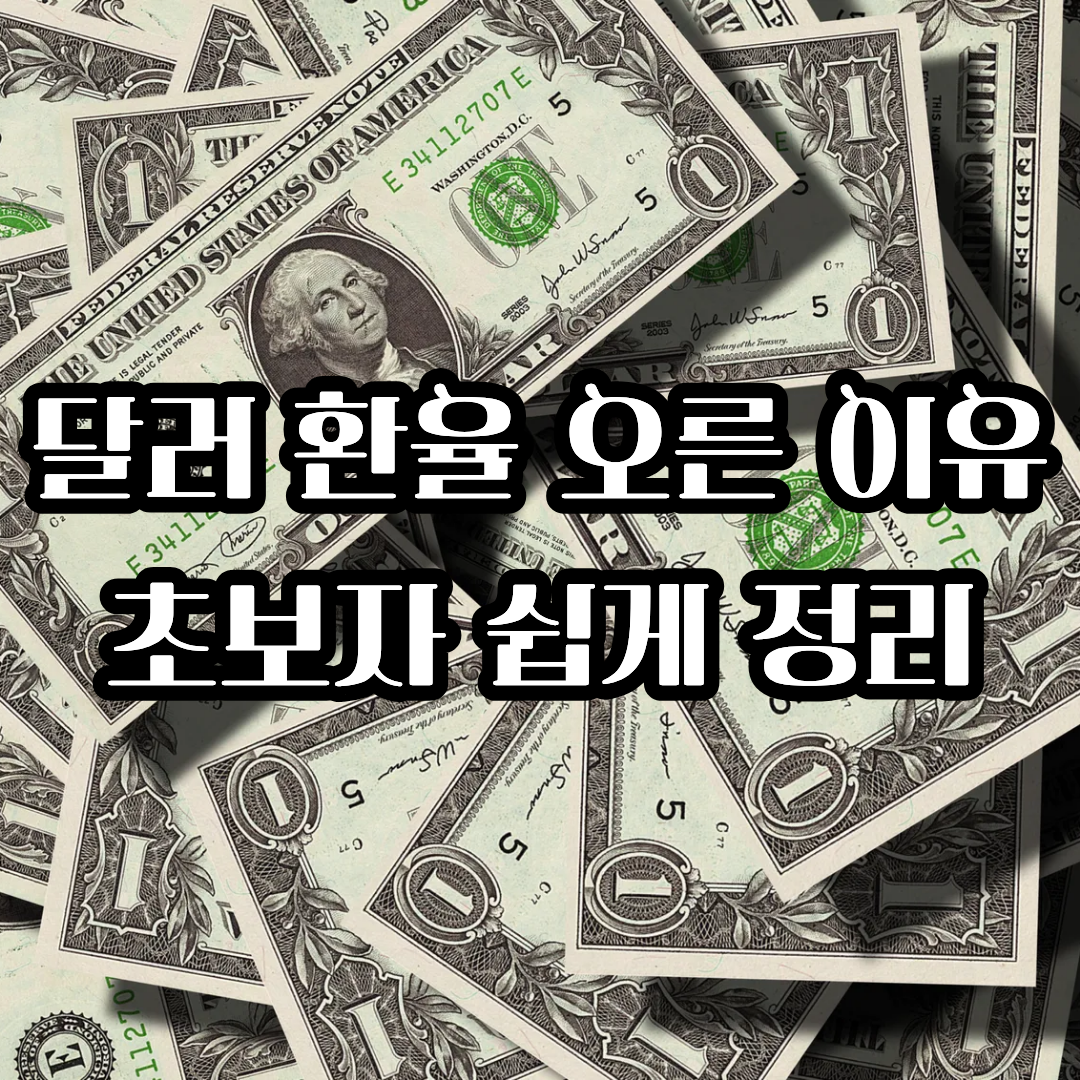 💵 최근 미국 달러 환율이 오른 이유: 금리, 경기, 안전자산 선호까지 쉽게 정리